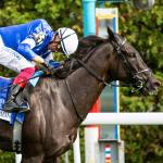 Locked Ascends Equibase Leaderboard, Eye-Catching Speed Figure for Rebel’s Romance